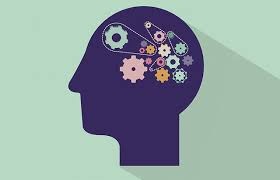 Cognition